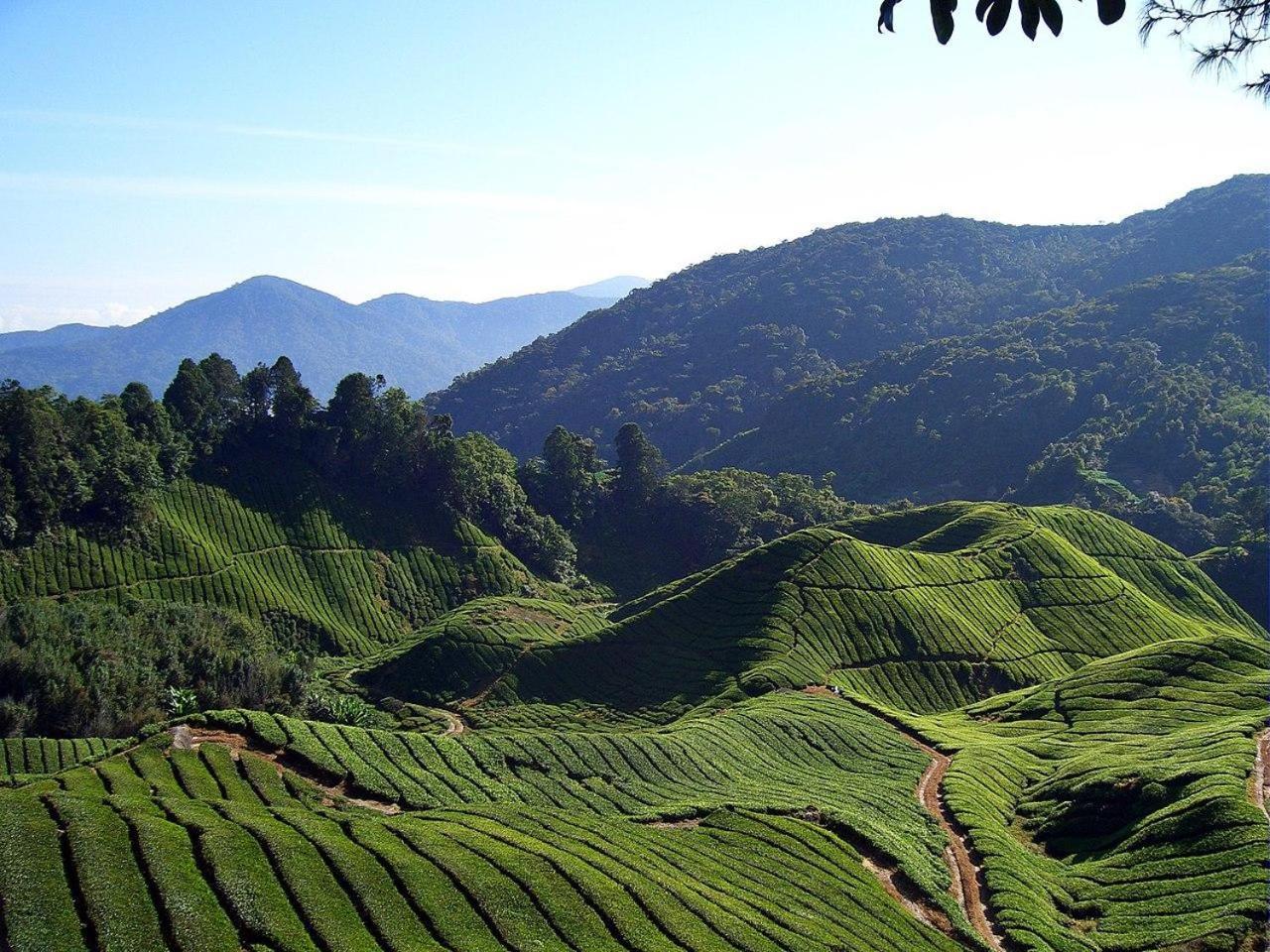 Cameron Kea Farm Hotel Brinchang Bagian luar foto